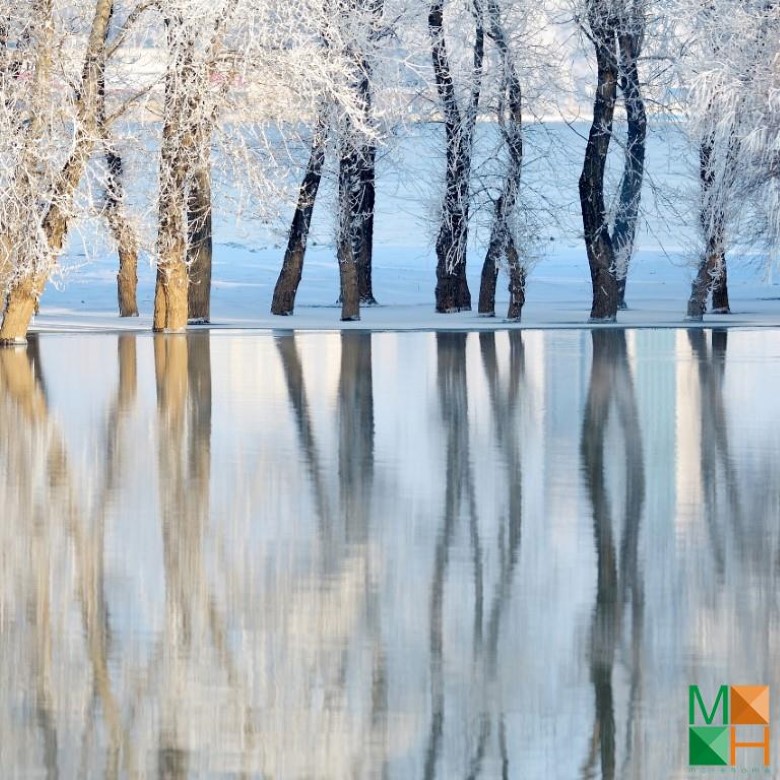 Tranh dán tường Hàn Quốc 3d khổ lớn ở Hà Nội NA - 437